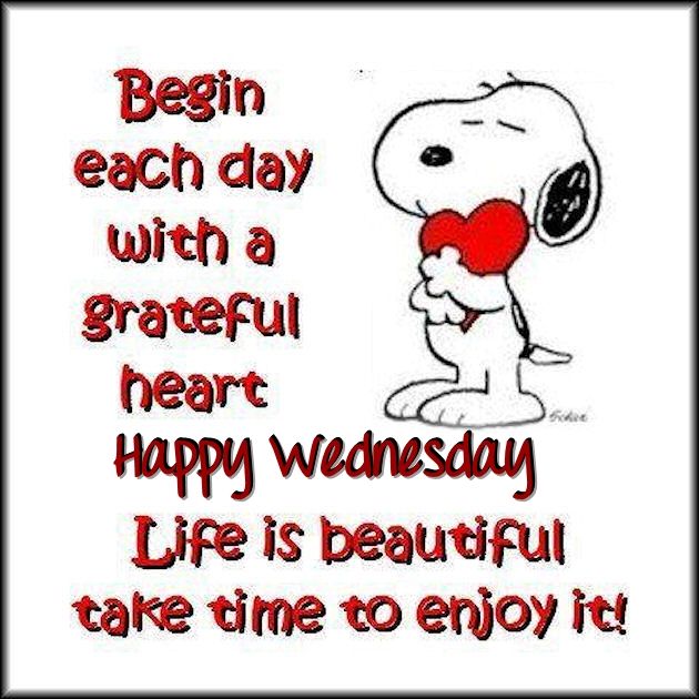 HAVE GREAT WEDNESDAY EVERYBODY